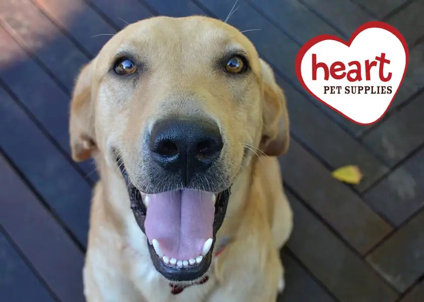 New and improved website Heart Pet Supplies Free Same Day