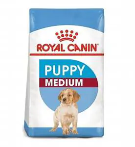 Royal canin dog food medium clearance puppy