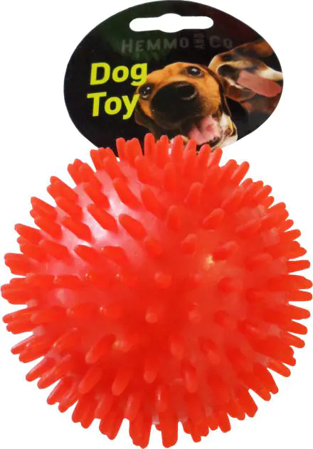 Ball inside fashion ball dog toy