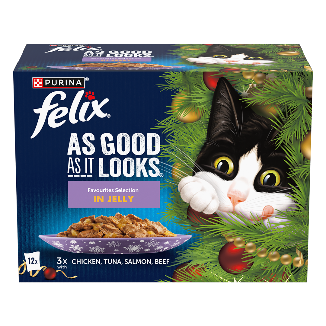 Buy Felix As Good As It Looks Favourites 12X100G | Save with Heart Pet