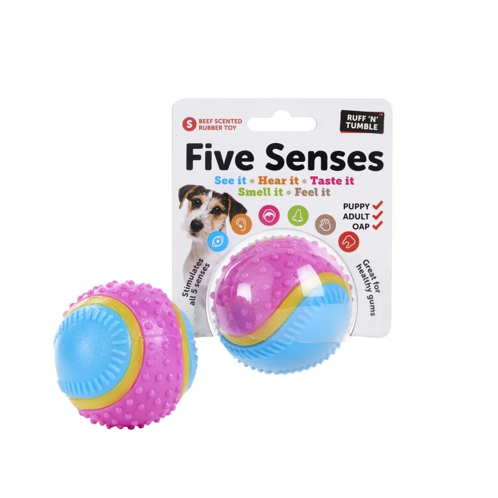 5 senses dog ball