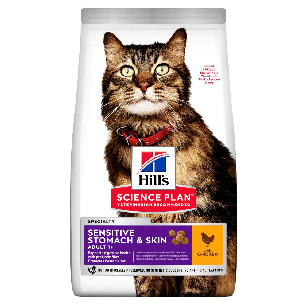 Best dry cat store food without chicken