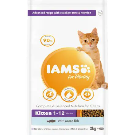 Iams kitten best sale