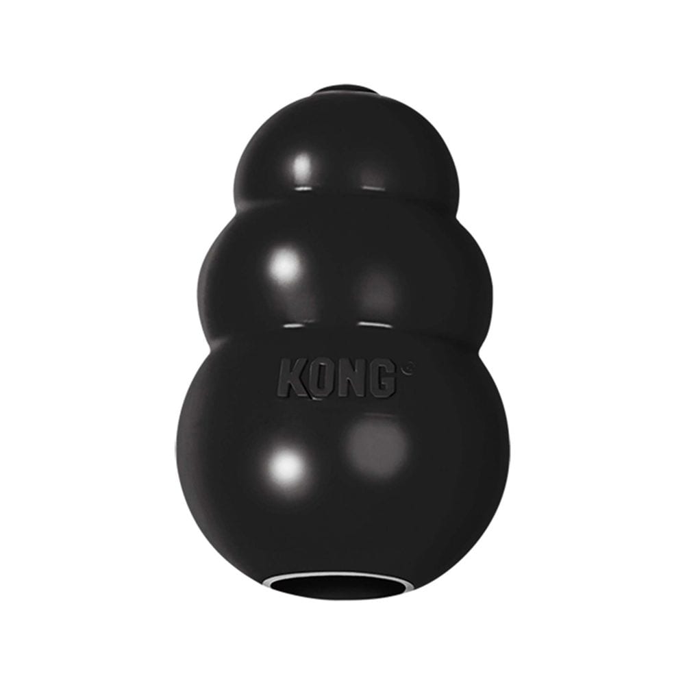 Extra 2024 large kong