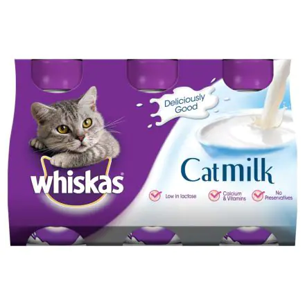 Buy cat milk best sale